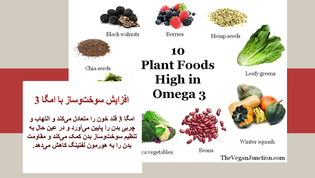 از کجا بفهمیم کمبود امگا ۳ داریم؟