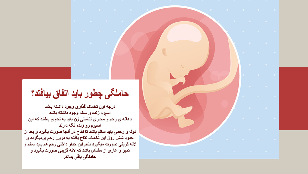 چه رابطه هایی باعث حاملگی میشود؟