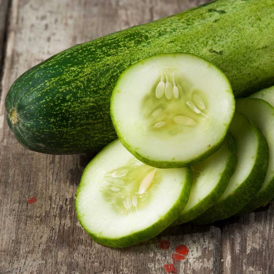 خیار تلخ