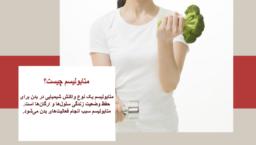 متابولیسم چیست؟