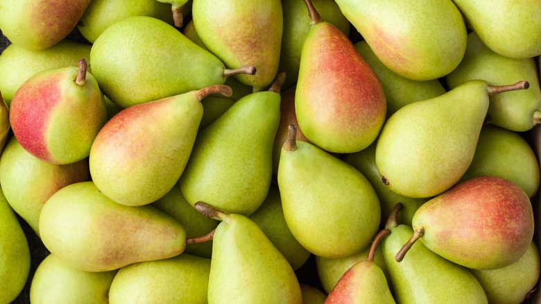 میوه دیابتی گلابی