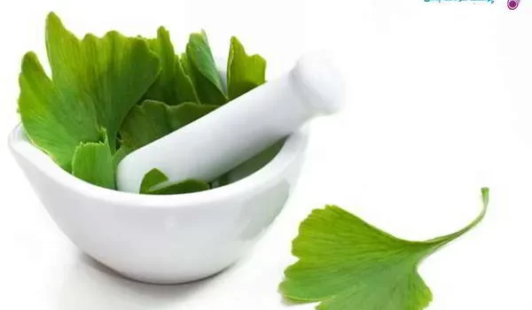 لیست بهترین گیاهان دارویی برای زود انزالی با نحوه مصرف