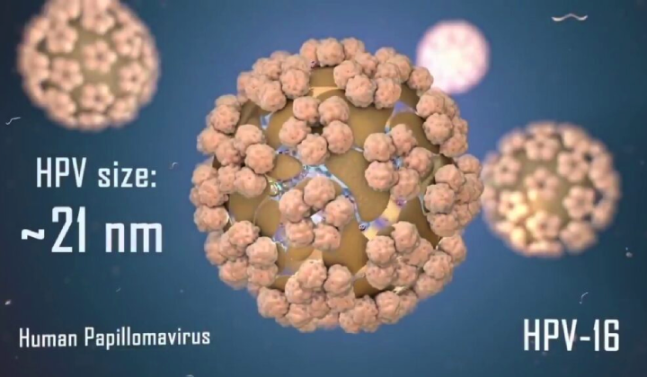 زگیل تناسلی در مردان علائم، تشخیص 