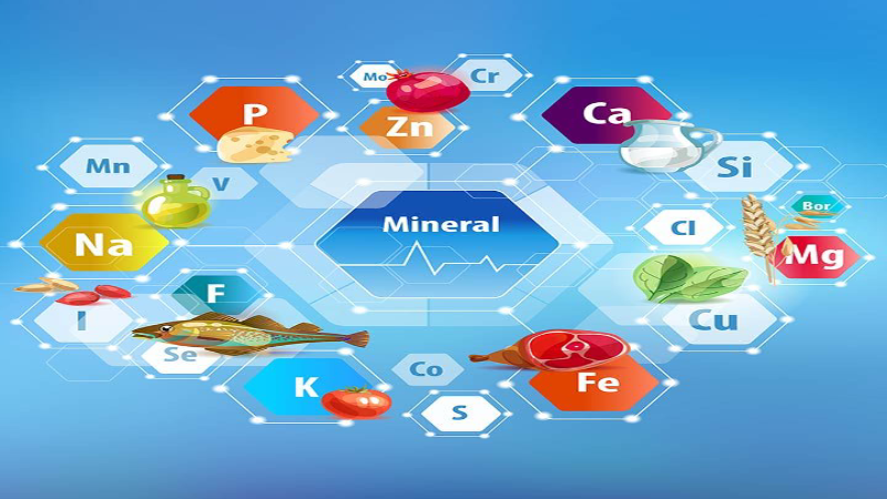 تاثیر مواد معدنی بر عملکرد جنسی